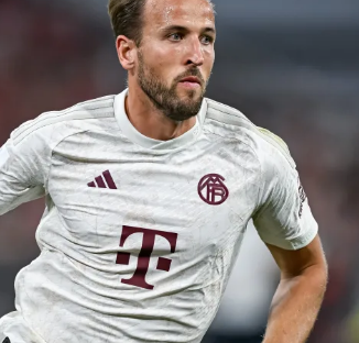 巴罗的崛起 巴罗的崛起